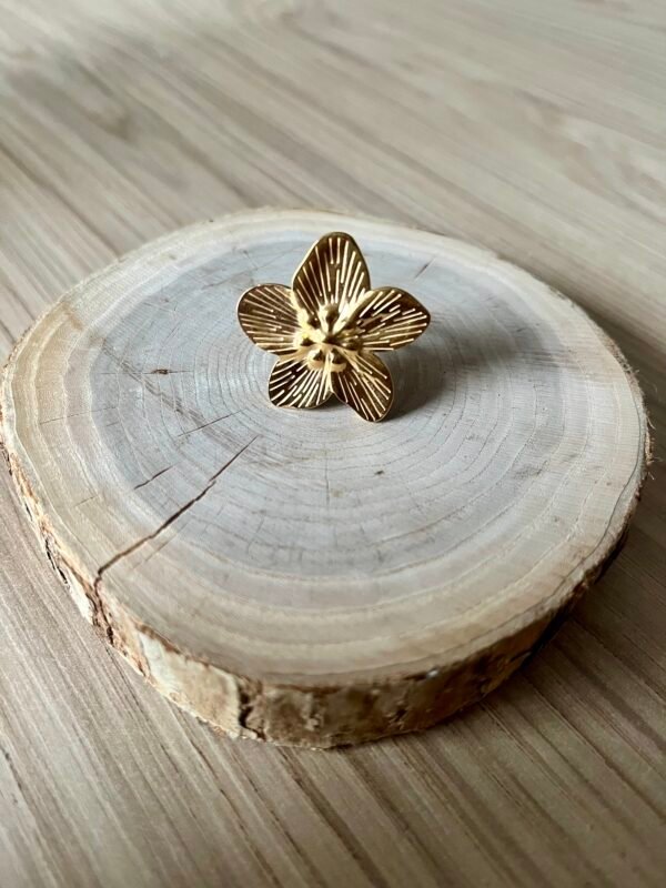 IMG_1464 Bague Aloha