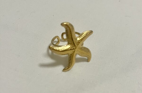 IMG_1801 Bague Étoile de Mer